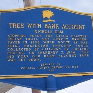Tree with Bank Account
